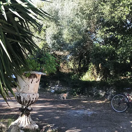 Hotel Résidence Hôtelière A Trama Bonifacio (Corsica)