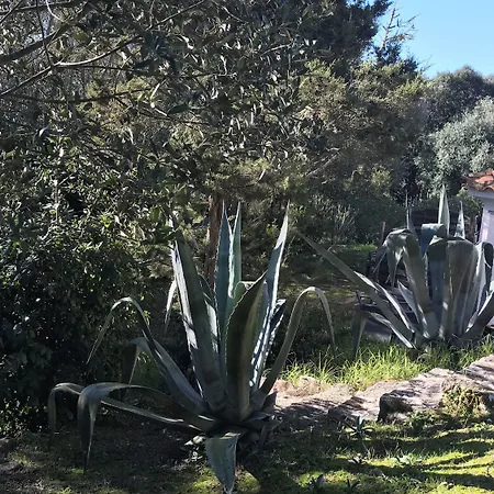 Résidence Hôtelière A Trama Hotel