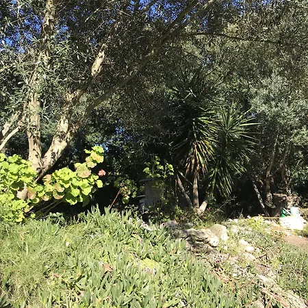 Résidence Hôtelière A Trama Bonifacio (Corsica)