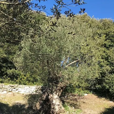 Résidence Hôtelière A Trama 3*