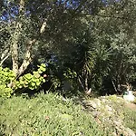 Résidence Hôtelière A Trama Bonifacio (Corsica)