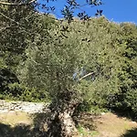 Résidence Hôtelière A Trama 3*