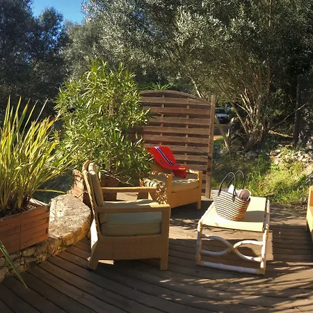 Hoteliere A Trama Отель