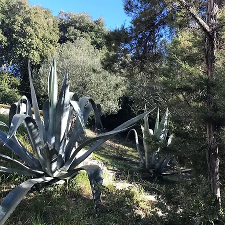 Résidence Hôtelière A Trama Hotel Bonifacio (Corsica)