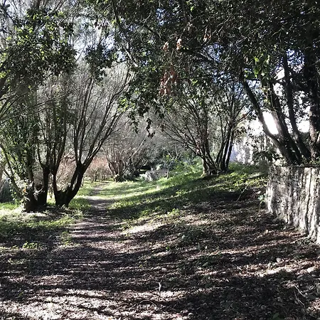 Hoteliere A Trama Отель Бонифачо