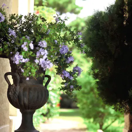 Hoteliere A Trama Отель 3*