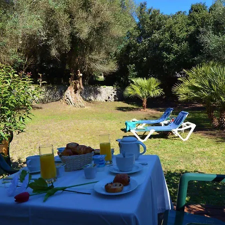 Hotel Hoteliere A Trama