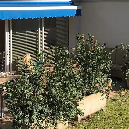 Отель Hoteliere A Trama