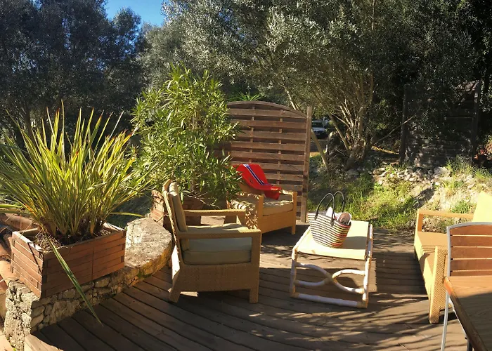 Hoteliere A Trama Hotel