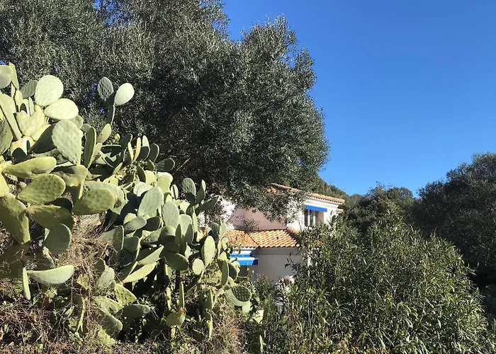 Résidence Hôtelière A Trama Hotel Bonifacio (Corsica)