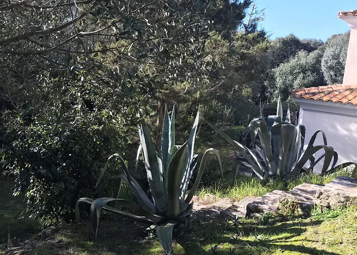 Résidence Hôtelière A Trama Hotel