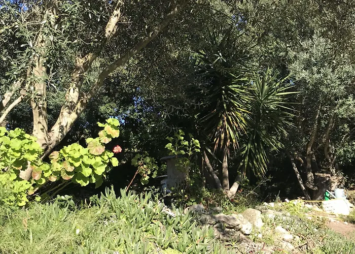 Hoteliere A Trama Bonifacio (Corsica)