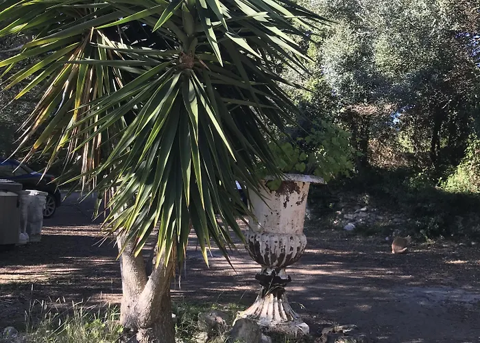 Résidence Hôtelière A Trama