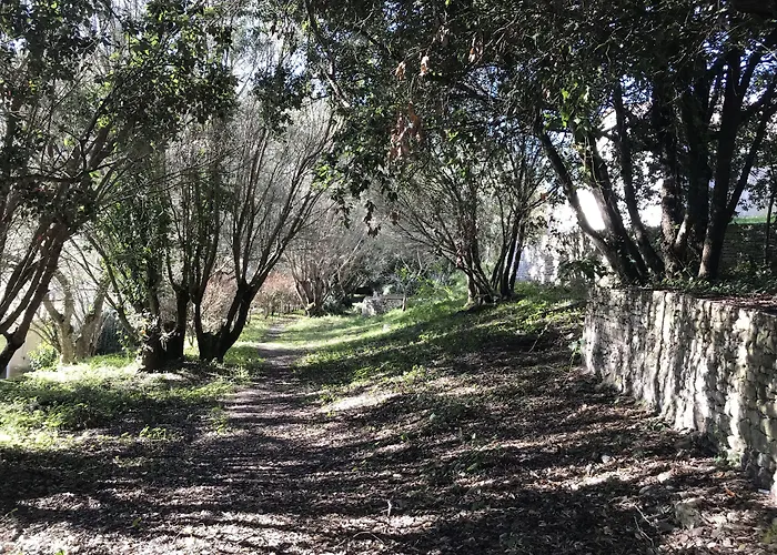 Résidence Hôtelière A Trama Hotel Bonifacio (Corsica)
