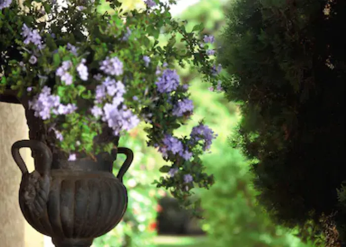 Hoteliere A Trama Hotel 3*