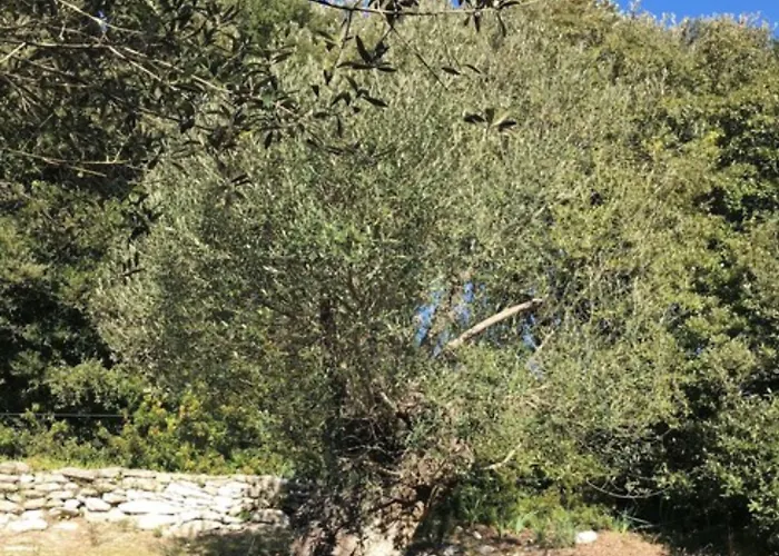 Hoteliere A Trama 3*