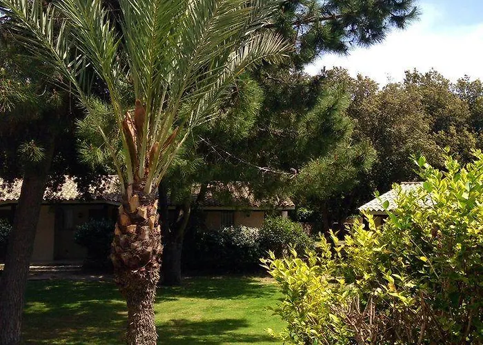 Hotel Hoteliere A Trama