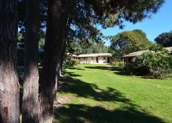 Hoteliere A Trama 3*