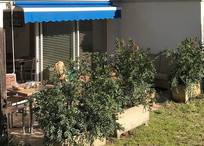 Hotel Hoteliere A Trama